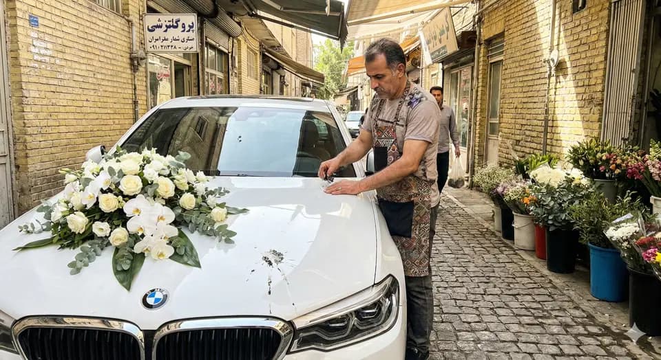 ترمیم رنگ خودرو فضله پرنده